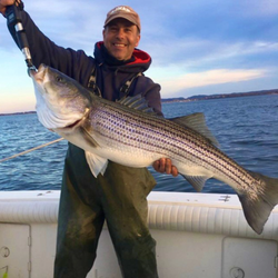Large striped bass caught fishing in Port Monmouth Road NJ waters