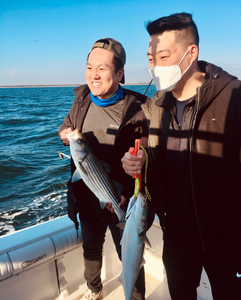 Successful striped bass fishing trip on boat in Port Monmouth Road NJ waters