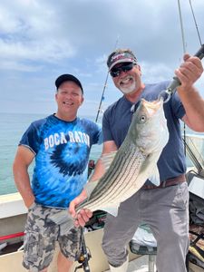 Striped bass caught on a fishing trip at Port Monmouth Road
