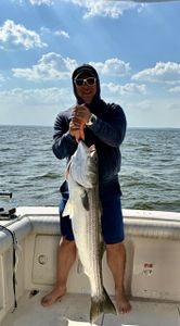 Striped bass caught fishing in Port Monmouth Road NJ waters