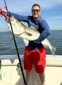 Striped bass catch from Port Monmouth Road NJ fishing trip