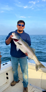 Striped bass caught fishing in Port Monmouth Road NJ waters