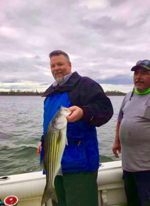 Striped bass catch during fishing trip in Port Monmouth Road NJ