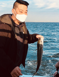 Striped bass caught fishing in Port Monmouth Road NJ waters