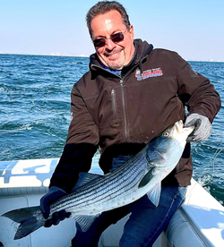 Striped bass caught while fishing in Port Monmouth Road NJ waters