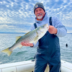 Striped bass caught fishing in Port Monmouth Road NJ waters
