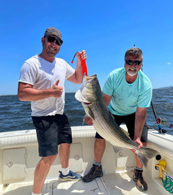 Striped bass caught fishing in Port Monmouth Road NJ waters