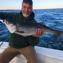Striped bass caught while fishing in Port Monmouth Road NJ waters