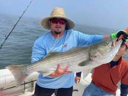 Striped bass caught during fishing trip in Port Monmouth Road NJ