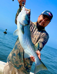 Large striped bass caught fishing in Port Monmouth Road NJ waters