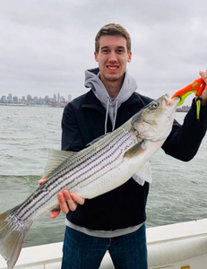 Striped bass catch from Port Monmouth Road NJ fishing trip