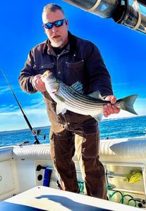 Striped Bass caught on fishing trip at Port Monmouth Road