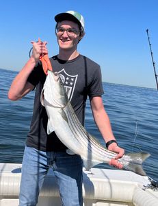 Striped bass caught on fishing rod at Port Monmouth Road