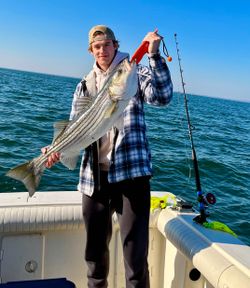Striped bass caught on Port Monmouth Road