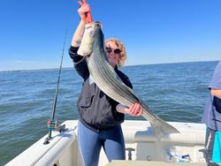 Striped bass caught at Port Monmouth Road