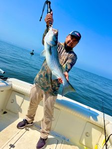 Striped Bass caught fishing on Port Monmouth Road