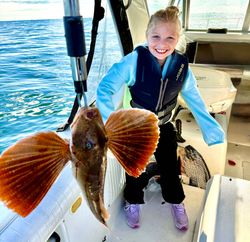 Striped Searobin fish caught on fishing trip at Port Monmouth Road