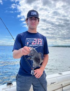 Catch of the day: 1 sea bass fish