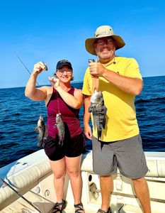 Two sea bass caught during fishing in NJ