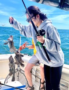 Two sea bass caught on a fishing trip at Port Monmouth Road