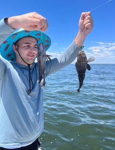 Two sea bass, fishing on Port Monmouth Road
