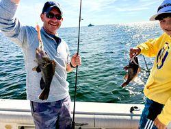 Two sea bass caught while fishing on Port Monmouth Road