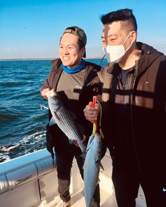 Two striped bass caught on fishing trip at Port Monmouth Road