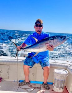 Yellowfin tuna caught on a fishing trip at Port Monmouth Road