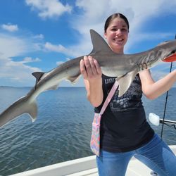 Blacktip shark caught while fishing in FL