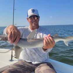 Bonnethead shark fishing in Tampa, Florida