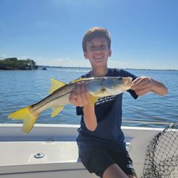 One snook caught while fishing in Tampa