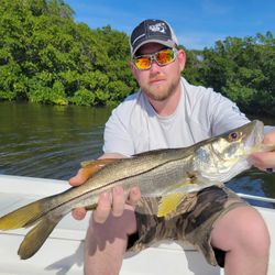 Snook caught fishing in Tampa