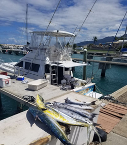 A beautiful scenic view of Puerto Plata, perfect for fishing.