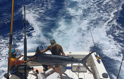 Person fishing in Puerto Plata