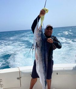 One person fishing in Puerto Plata