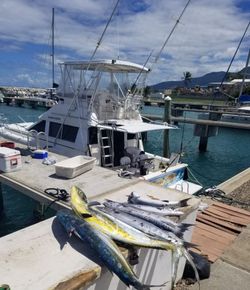 Scenic coastal view of Puerto Plata, Caribbean