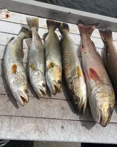 Fishing Cape Coral’s hidden gems!