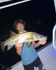 Reel big snook in Cape Coral!