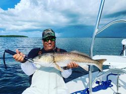 cape coral fishing guides	