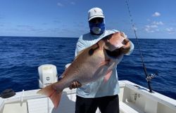 Mutton Snapper fishing charter Cape Coral	