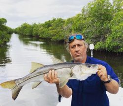 Finest Snook Fishing in Cape Coral