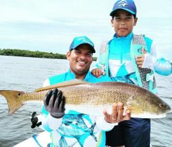 Cape Coral fishing for Redfish