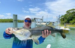Best Snook Fishing in Cape Coral