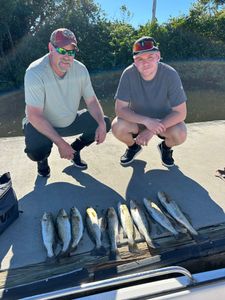 trout action in Punta Gorda FL