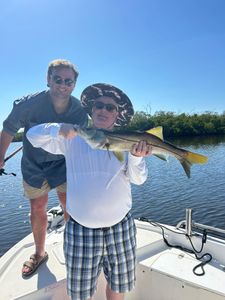 Big snook landed inshore today