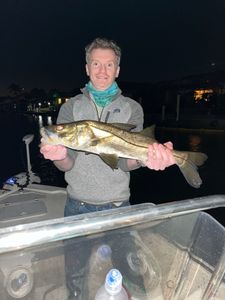 Snook night fishing near Punta Gorda