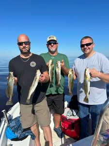 6 spotted weakfish caught fishing in FL