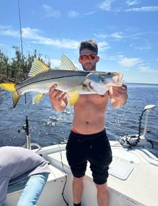 Action-packed morning on the water