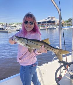 Fresh catches from Charlotte Harbor