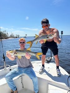 Two big snook fish caught in Punta Gorda